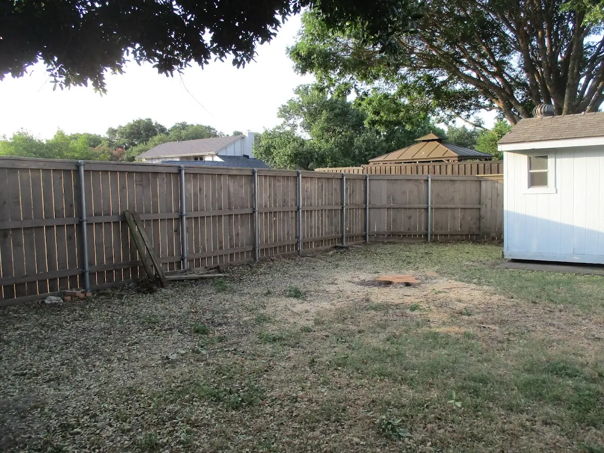 Cleared yard after professional tree removal in Jacksons Gap